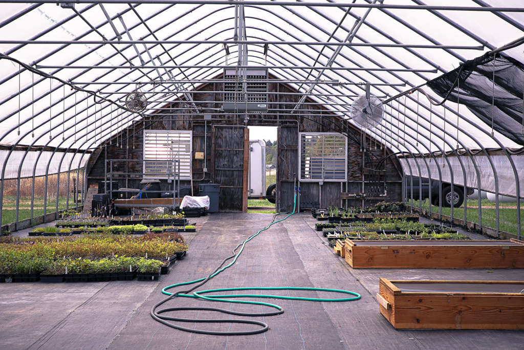 Nasami Farms A New England Mecca for Native Plant Lovers Gardenista