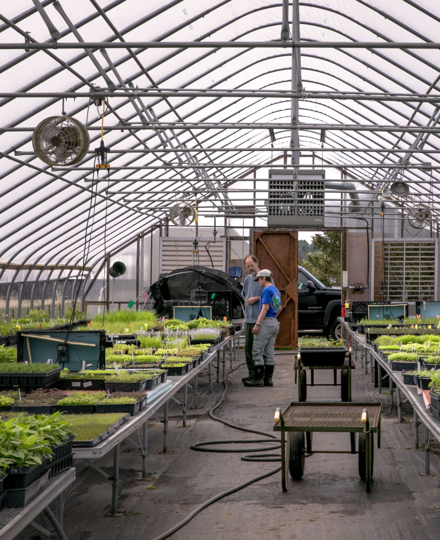 Nasami Farms A New England Mecca for Native Plant Lovers Gardenista