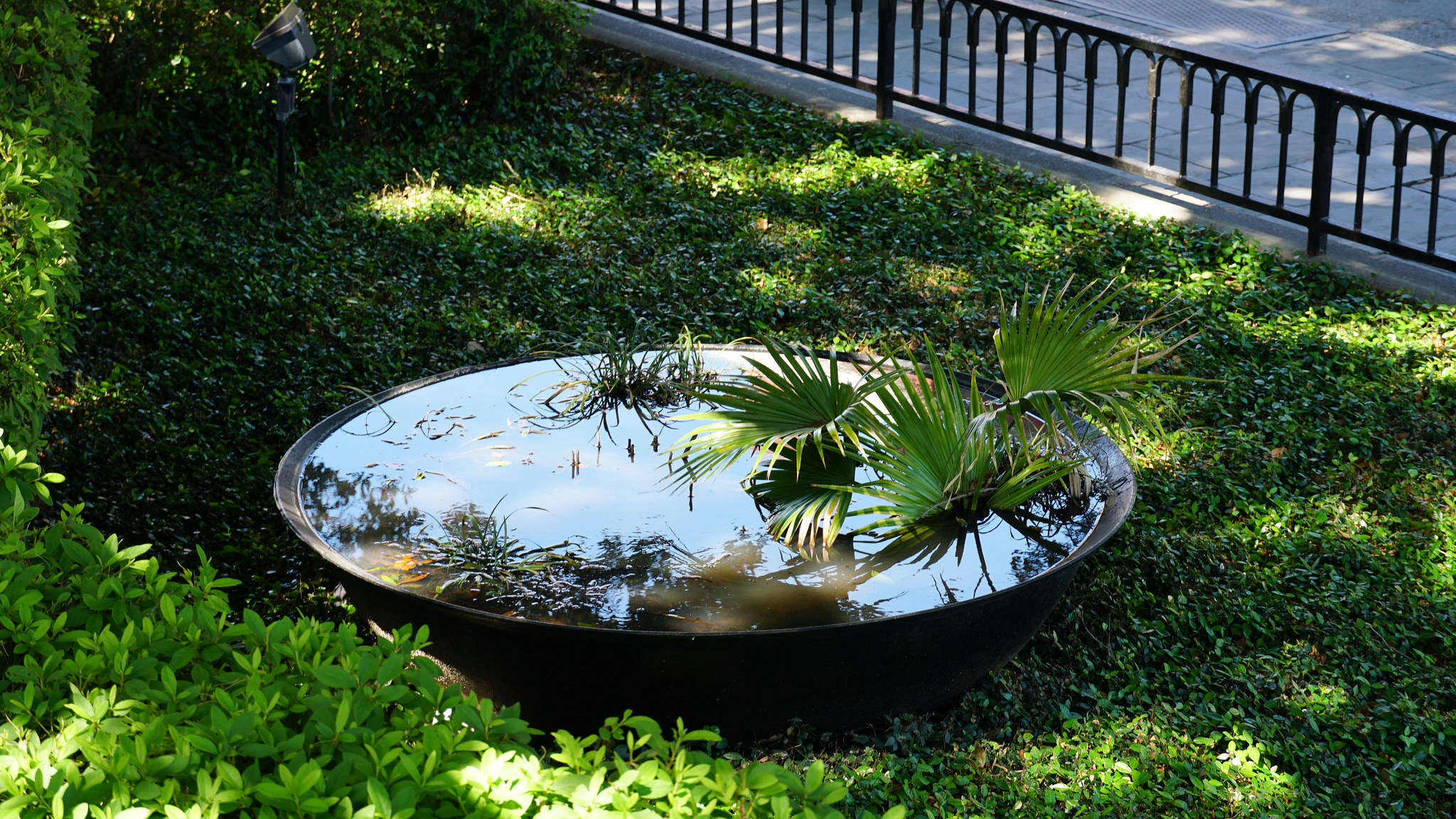 10 Garden Ideas to Steal from New Orleans - Gardenista
