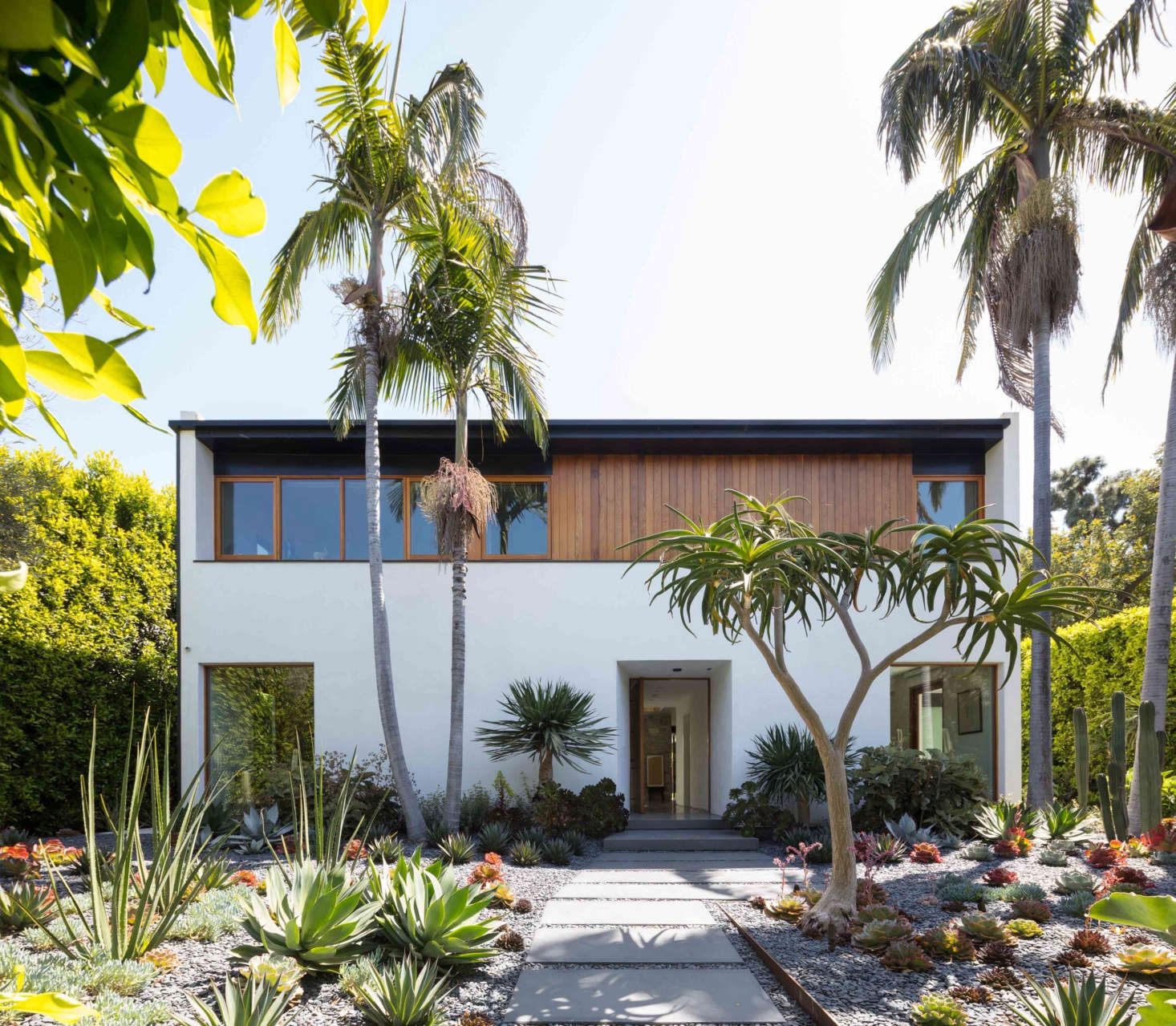The Best Professional Landscape award went to Campion Walker Landscapes and JacobsChang Architecture, for this private, minimalist dry garden in a busy Los Angeles neighborhood. Photograph by Michael Wells.
