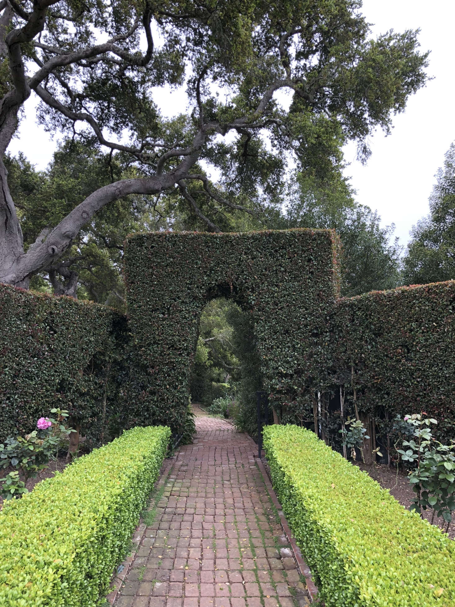 The brick paths are also original; Sosa and team repaired them but opted not to alter their well-worn charm. Here, they wind through the property and through Secret Garden–esque archways in the hedges. Photograph courtesy of Roberto Sosa.
