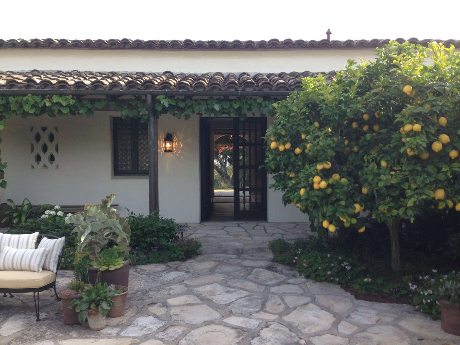 In the interior courtyard, a lemon tree lends a Mediterranean feel—and some respite from the sun. Throughout, Sosa softened the existing hardscaping with informal clusters of potted drought-resistant plants. Photograph courtesy of Roberto Sosa.