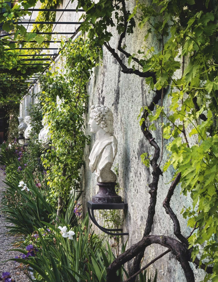 Old vines clamber across an old metal pergola shading the noble busts.