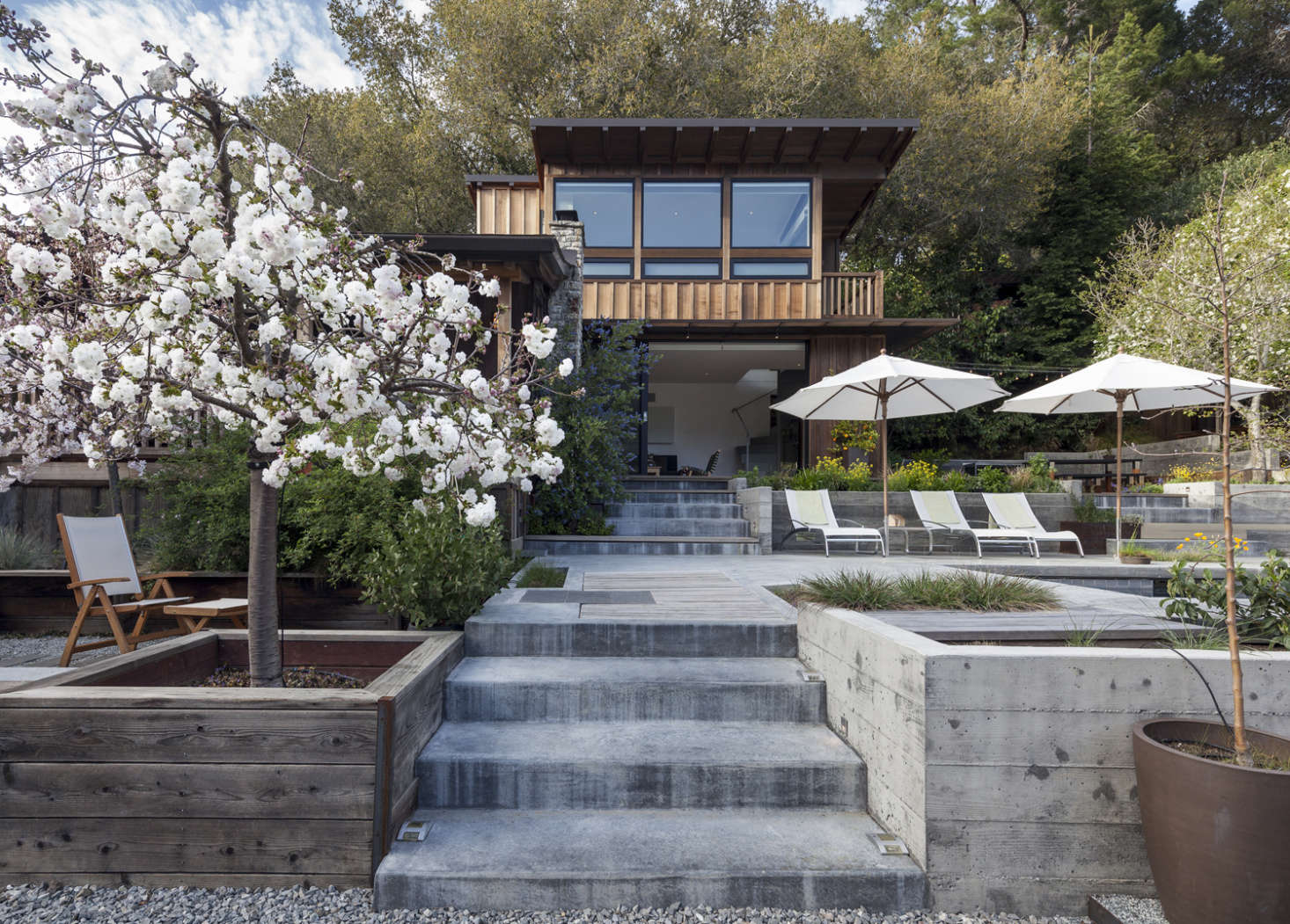 A cherry blossom tree grows next to concrete stairs leading from the new addition to the detached garage.