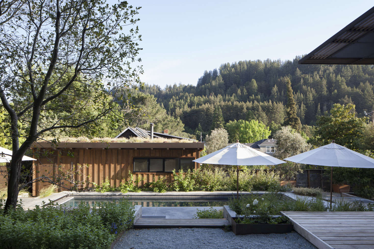The pool was fittingly sited on the sunniest part of the property. The Corten beds adjacent to the gravel patio are planted with edible flowers and herbs.