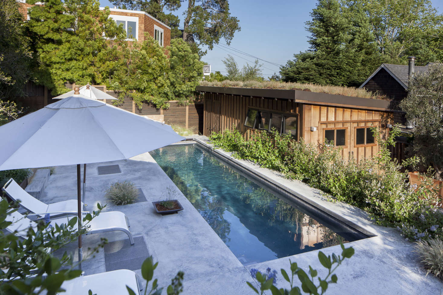 The sunken concrete pool is 36 feet long—enough for swimming laps. On the pool deck, Gargan had plots reserved for plants, both in-ground and in containers.