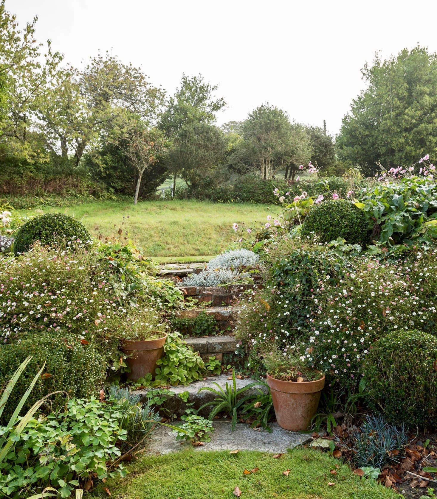 Exuberant erigeron flanks stone steps in architect Ben Pentreath