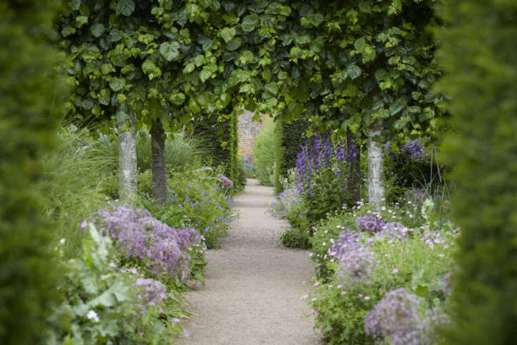 A gravel path runs directly through the distractions of pollarded limes and walls of yew.