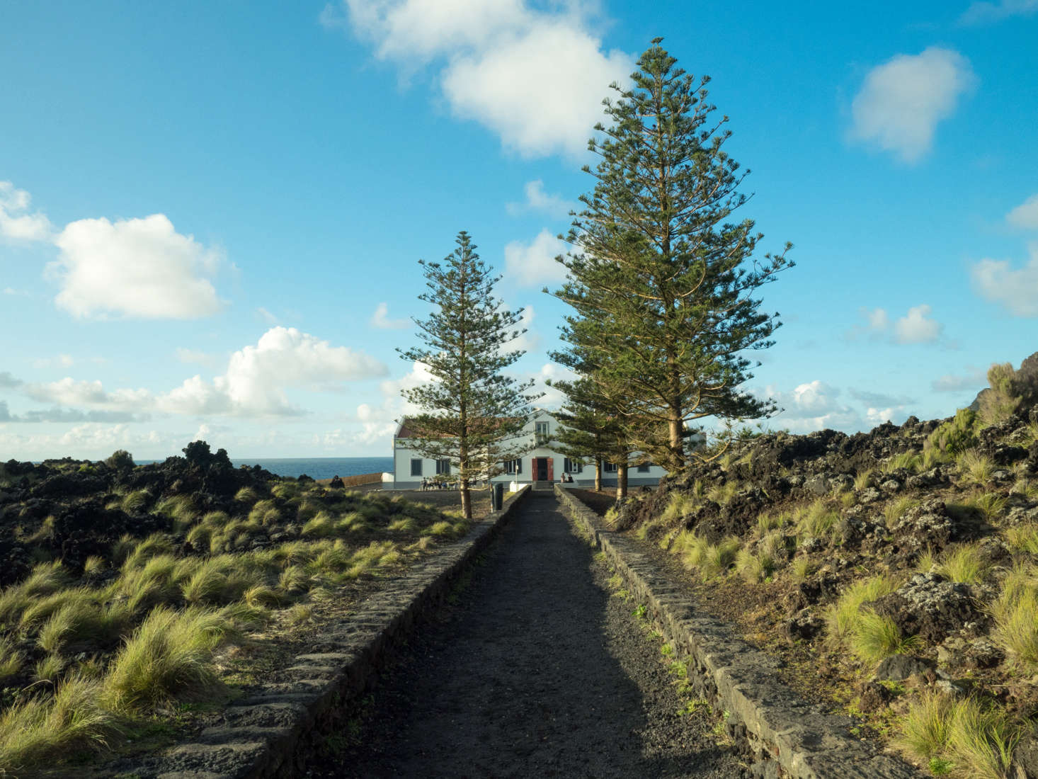 A drought-tolerant landscape flourishes in Varzea on the island of São Miguel in the Azores. Photograph by Ajay Suresh via Flickr.
