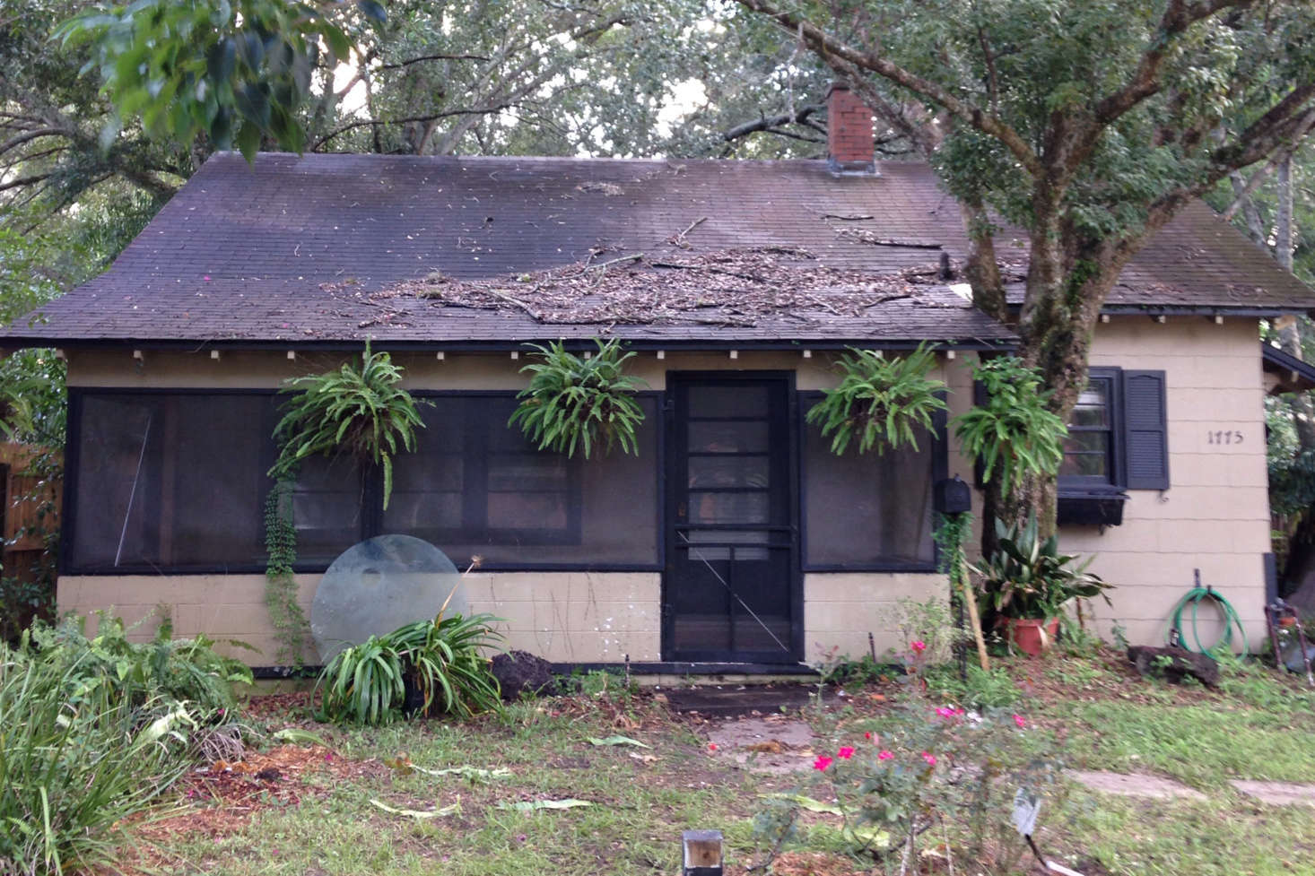 Before. Talk about curb appeal.