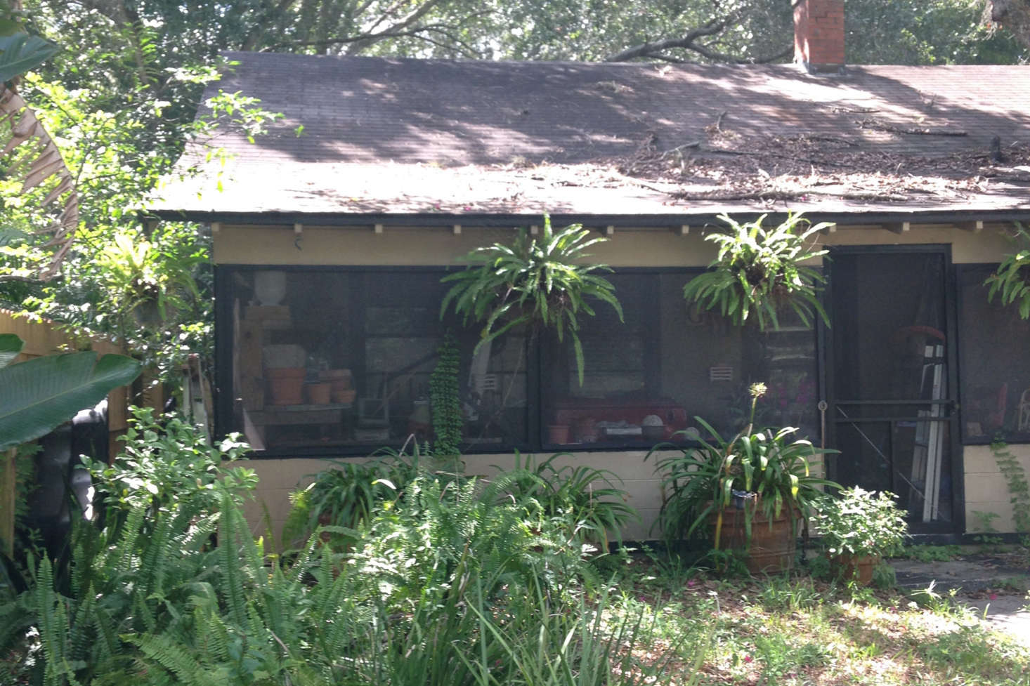 Before, the porch was unusable, and filled to the brim with bric-a-brac, old pots, and storage.