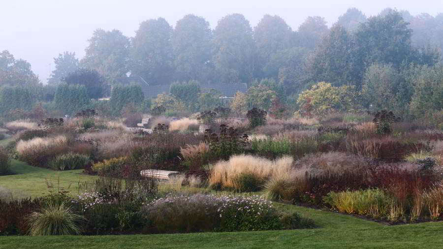 “I think the reaction to Piet’s public spaces owes in large part to how it reconnects so many people with some lost conception of 