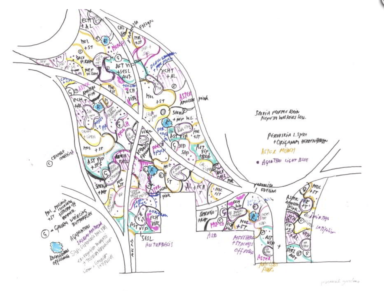 Oudolf sketches beautifully detailed layouts for garden designs.