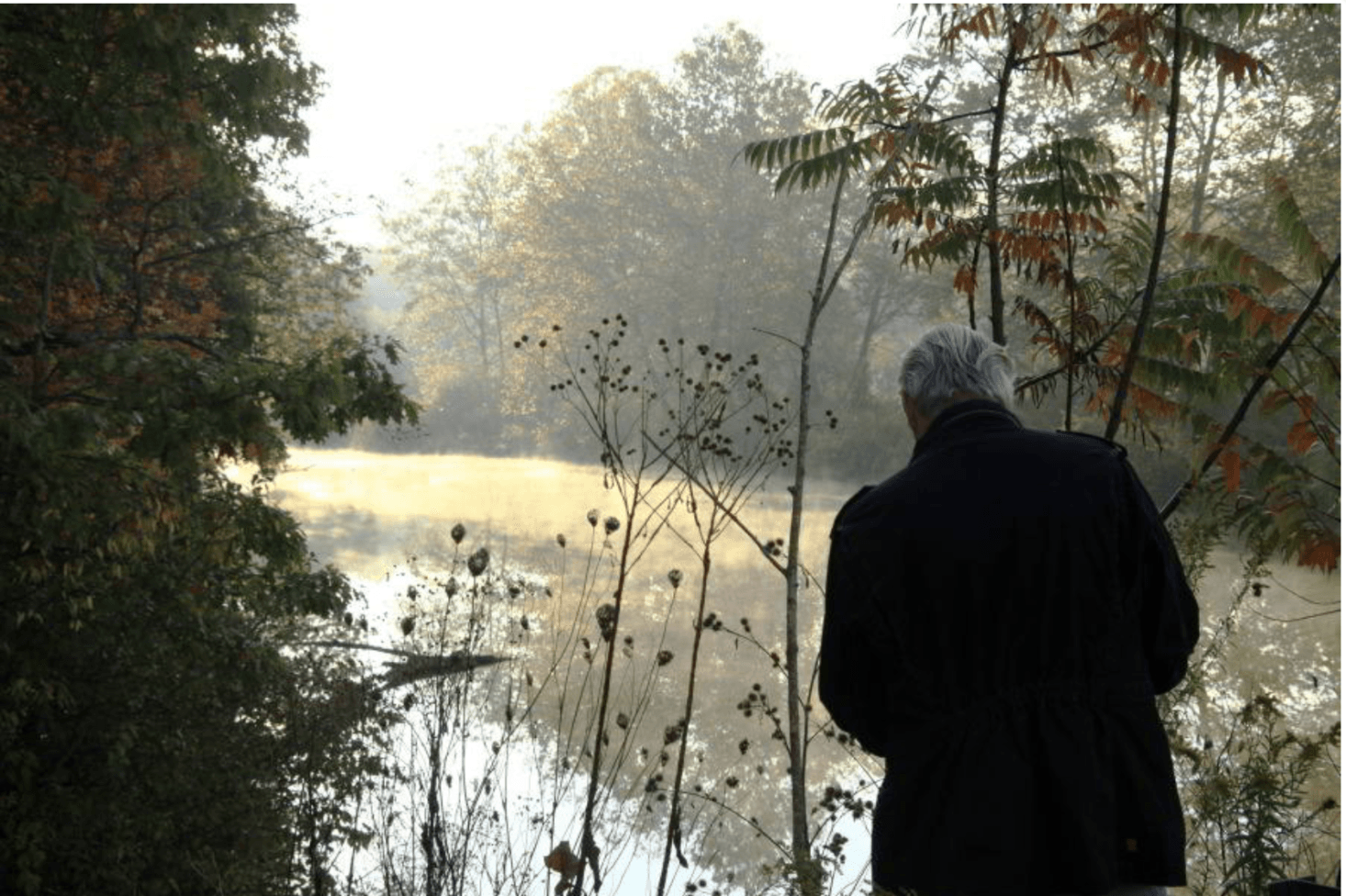 Oudolf is famous for championing plants in all their stages; gardeners everywhere have now learned to love the beauty of shimmering seed-heads in winter frost. In Five Seasons the beauty of his garden at any given moment is breathtaking. “I think Piet’s line during the winter scene, 