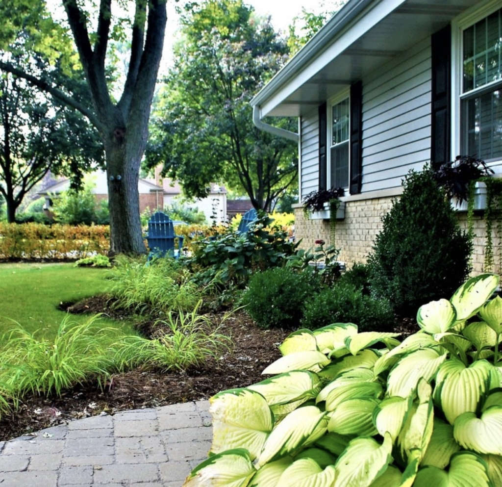 Amliv Land Designs entered this Arlington Heights, Illinois, landscape into our Best Curb Appeal category, which is open to both amateurs and professionals. They transformed an empty corner lot into a shade-loving garden with shrubs, evergreens, and perennials.