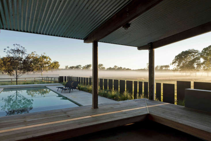 Corten steel fence panels seem to float but actually are fixed to a concrete footing, hidden by plantings of native perennial tussock grass (Poa labillardierei).