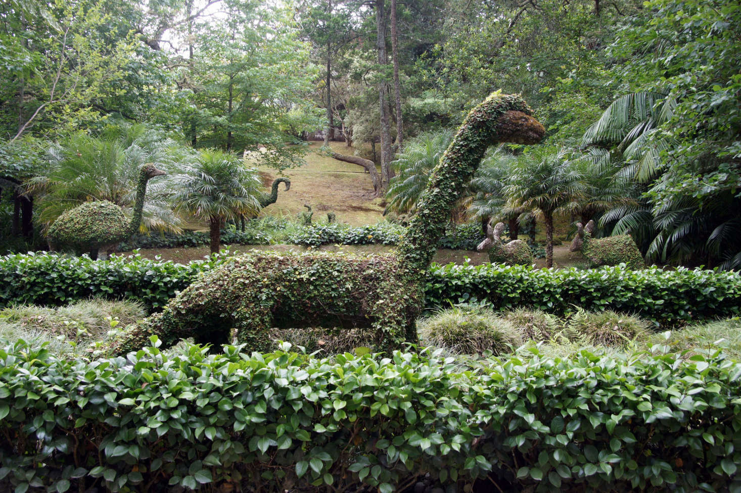 Dinosaurs still roam the earth at Terra Nostra Park in Furnas on the island of São Miguel in the Azores. Photograph by Putneymark via Flickr.