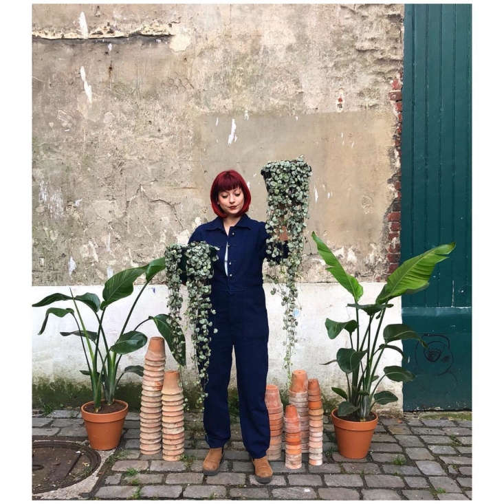 Justine readies pots of Ceropegia woodii, aka String of Hearts, for hanging. She says her nature-loving grandmother led her down the garden path; at age \10, she turned her family&#8\2\17;s backyard into a sunflower field.