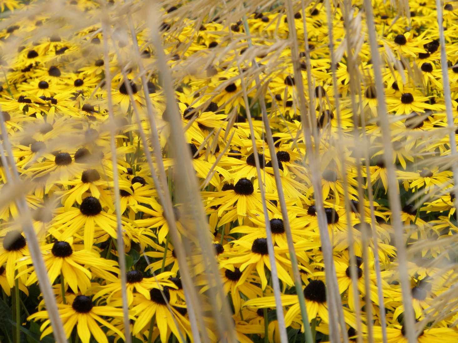 Photograph by Amanda Slater via Flickr.