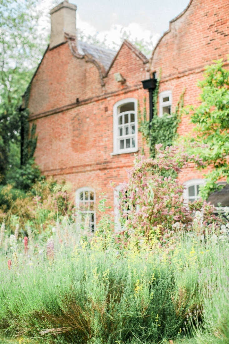  The mismatched brick walls of the house (the original timber-framed part of the house dates from \1650 with later Georgian and Victorian additions) were softened with climbers including Hydrangea petiolaris, which are now reaching for the eaves.