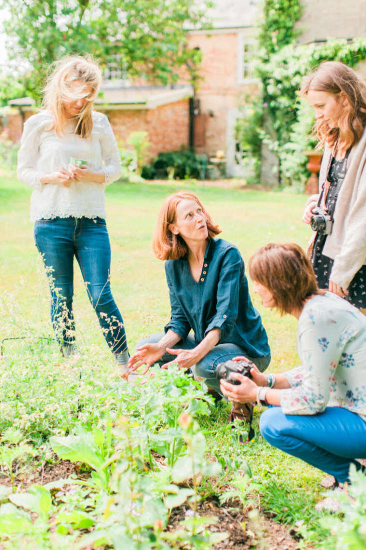 In addition to perennial and annual flowers, florist Girling is a fan of stalwart shrubs such as philadelphus, lilac, spirea, and physocarpus. “The list is endless and every year it gets longer, which is why the grass is disappearing so fast,” she says.