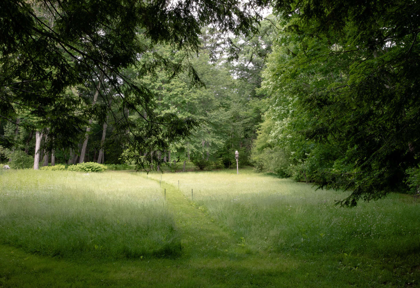 , a mown path provides a link and transition to the surrounding woodlands beyond. Photograph by Justine Hand for Gardenista, from Garden Visit: A Revolutionary Landscape in Concord, MA.