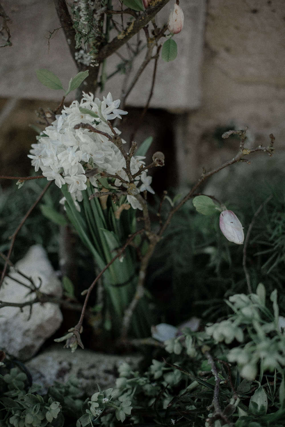 Paperwhites, cuttings, and magnolia branches sit in a stone basin until the arranging begins.
