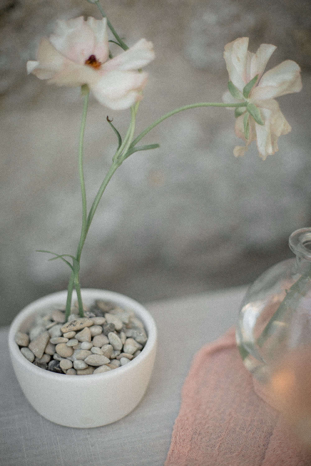 Less is more: an arrangement with only two stems, plus small stones in the base.