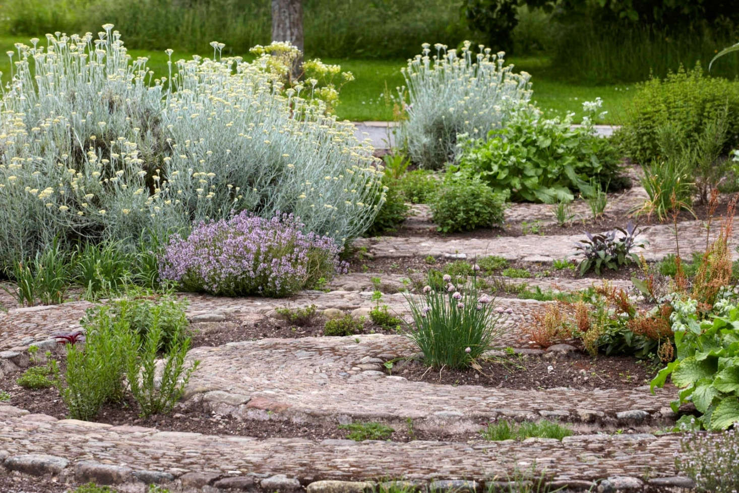 The herb garden is next to the orchard at Hampton Court Castle. Photograph by Britt Willoughby Dyer.
