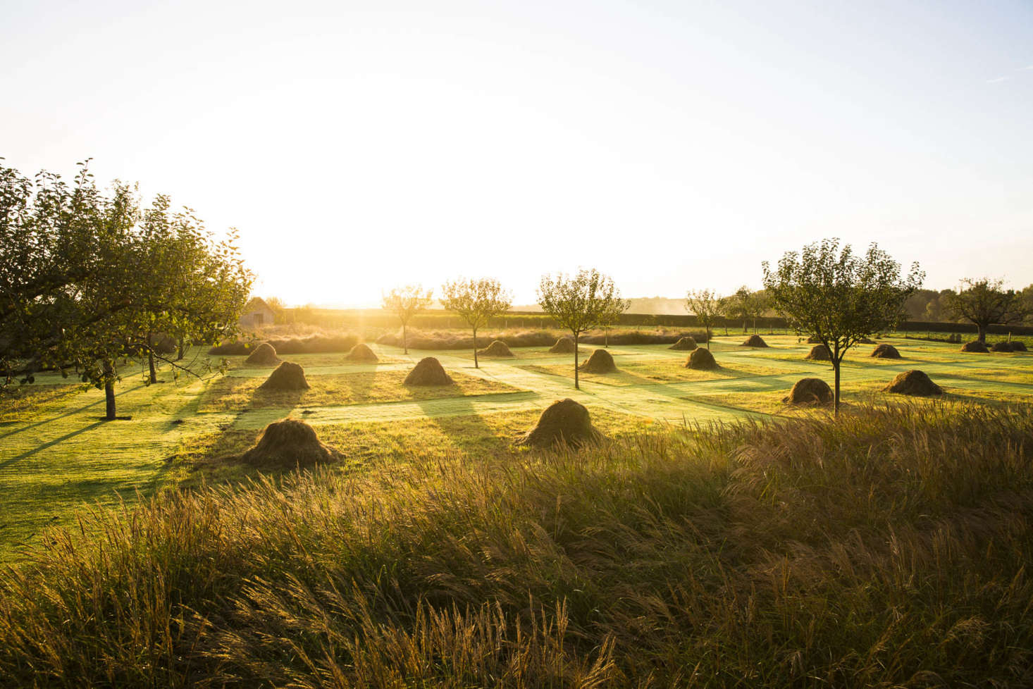 By midsummer, the flowery meadow has been scythed and collected into haystacks, while longer miscanthus grass is allowed to stay.