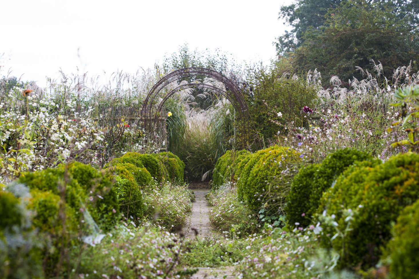 Empty arches and shaggy topiary give this garden an informal structure even when the jewel-like dahlias and helianthemums have faded and the trailing Erigeron annus has withdrawn. Successional perennial and bulb planting, flowering from spring to autumn, is held together by a river of bright, tall annuals, such as nigella, poppy, dill, and red orach spinach.