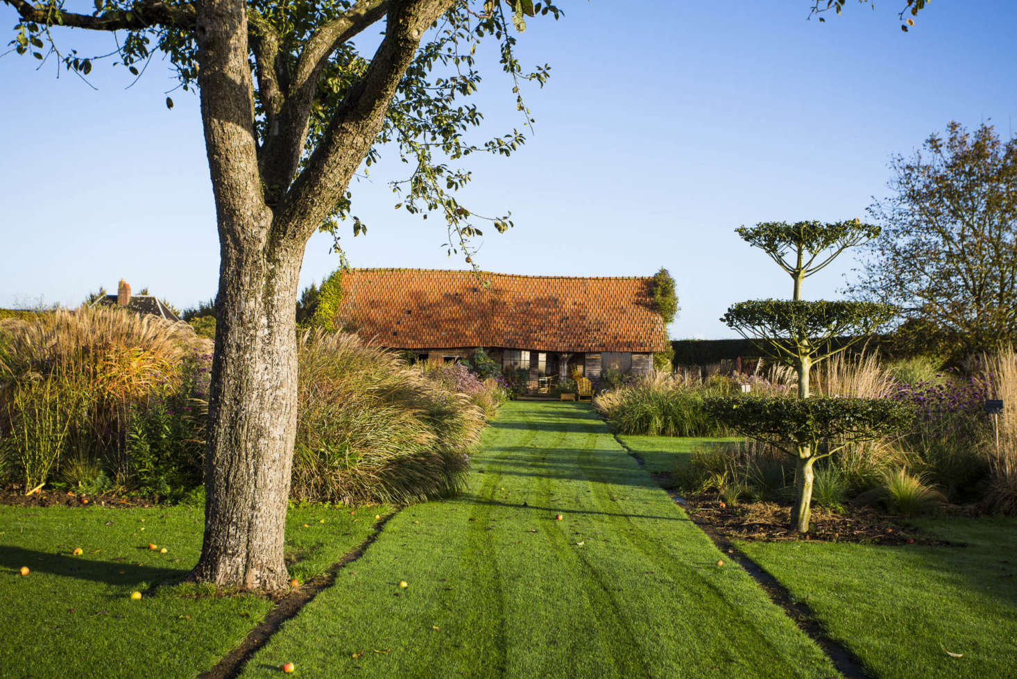 Ideas for dividing a lawn. A classic French allée, marked out in the simplest way, with earth gutters on either side.
