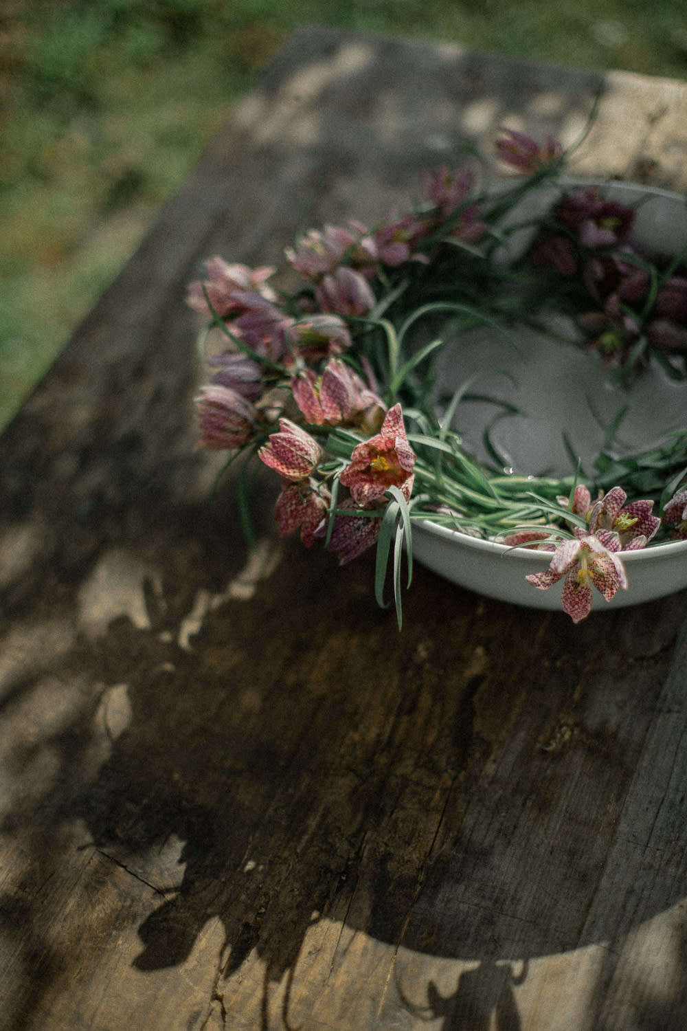 Shallow bowls of trout lilies make for poetic, watery arrangements.