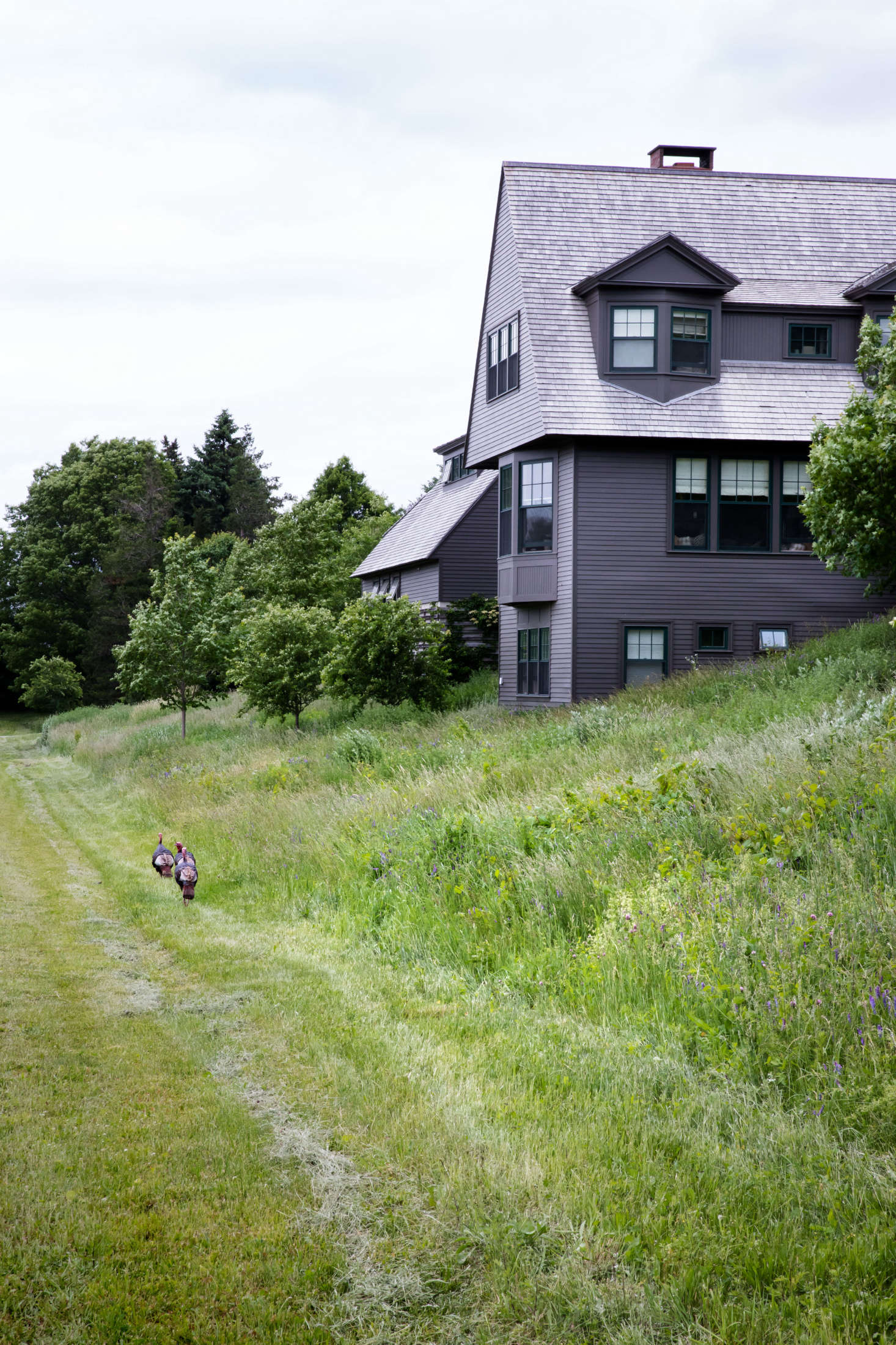Nestled into the hillside meadow, the house takes full advantage of the open view.