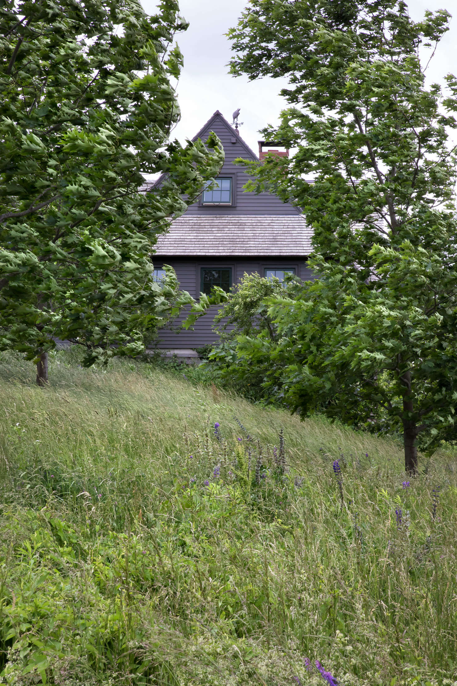 The plantings around the site were deliberately restricted, both to reflect what was already there and to enhance the open, natural appearance of the site.