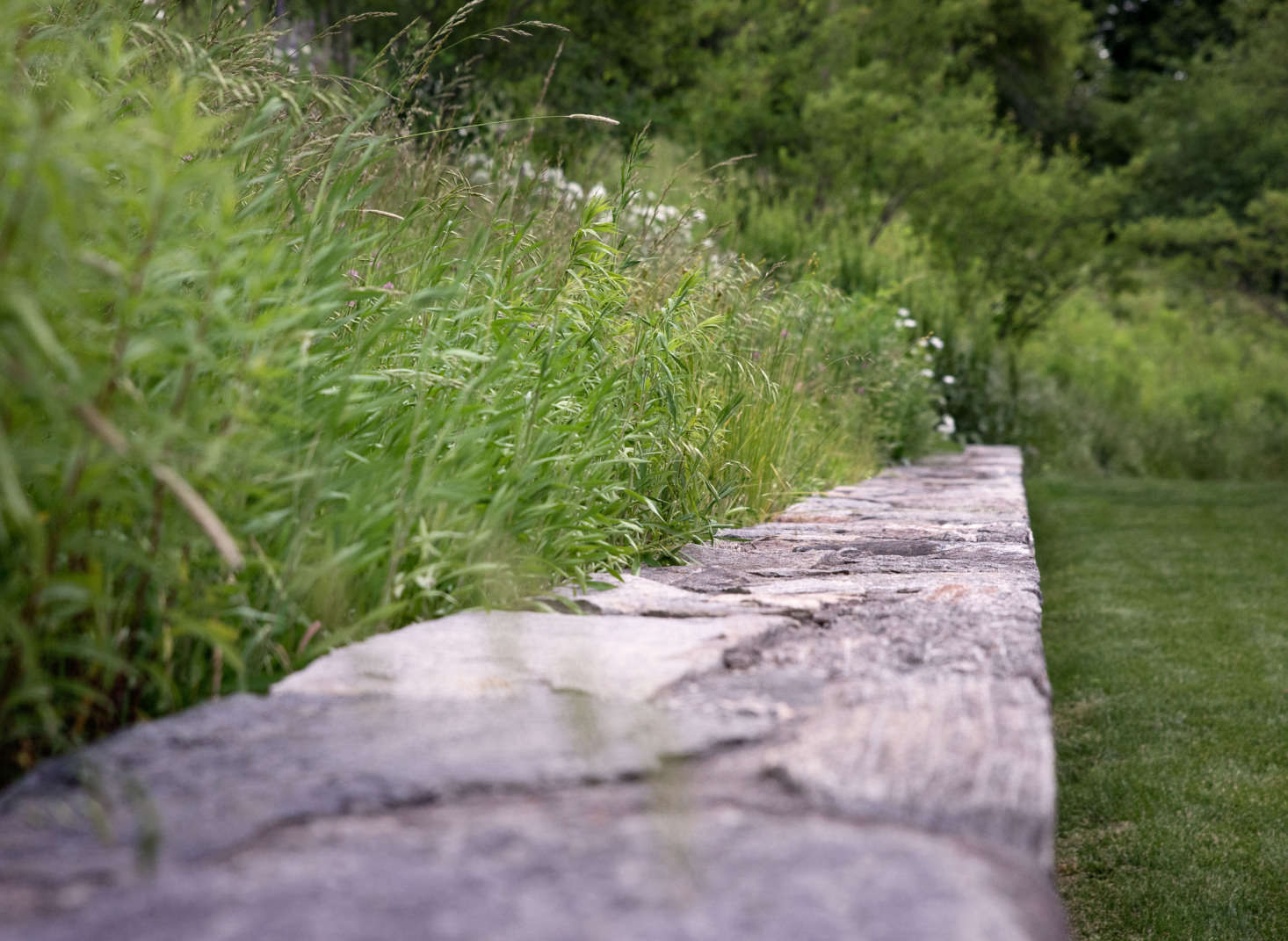 Planted along the fieldstone walls, grasses create a sense of movement and enhance the agrarian feel of the site.