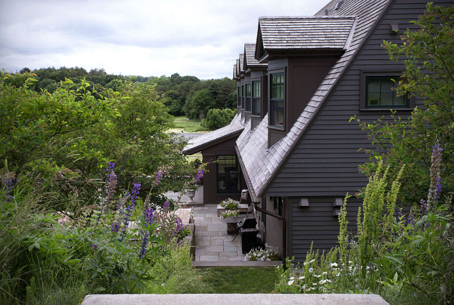 The view from the upper lawn overlooks the family terrace—the most enclosed and intimate part of the landscape—as well as the farmland beyond. The patio surface is made of natural cleft bluestone. Plantings include Eastern white pine (Pinus strobus), shadblow serviceberry (Amelanchier), and lupine.