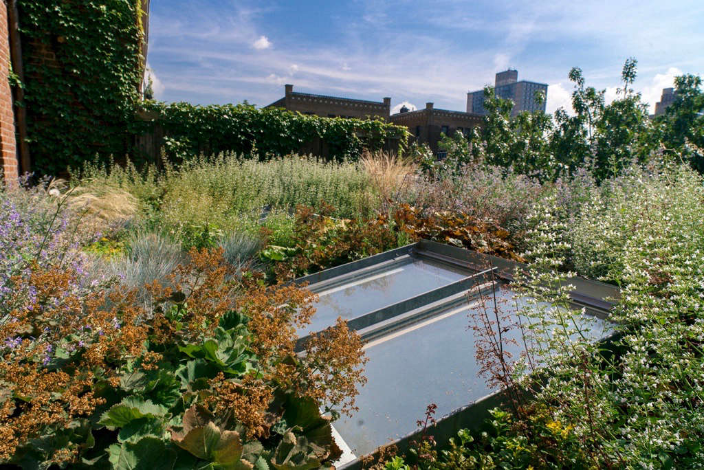 Meet the Winners of the 2018 Gardenista Considered Design Awards