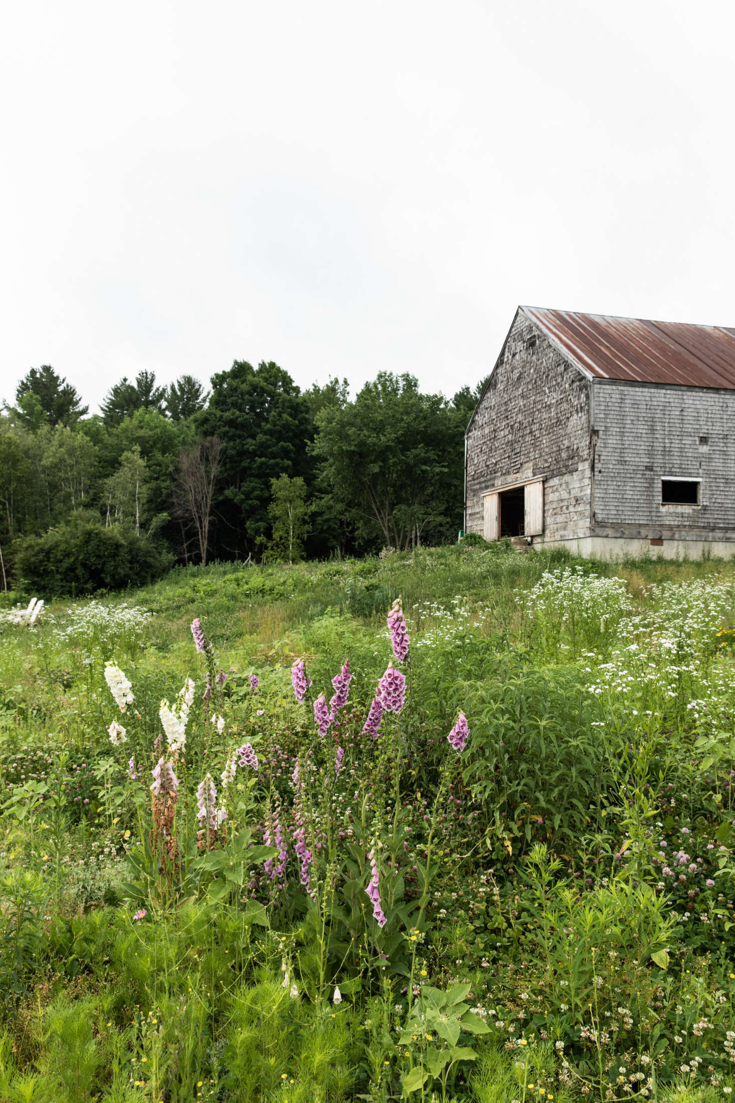 When Lafleur and White found it, the early-th-century barn was in bad shape. “It was teetering on a fieldstone foundation, the sills were rotted, the floor had caved in, and it had subsequently begun to lean,” Lafleur says. But the frame and roof were in good shape. “We decided to jack it up and pour a foundation and a concrete root cellar that now doubles as winery and walk-in cool space for vegetables and flowers,