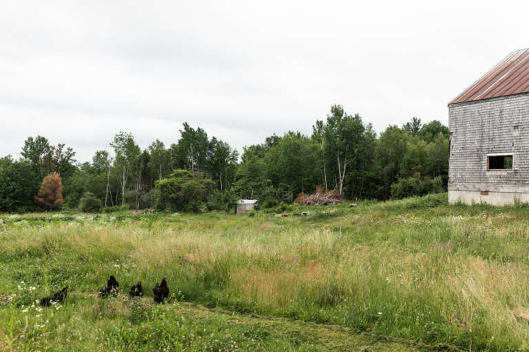 High Rince Farm 13 Ideas to Steal from Maine's Young DIY Farmers - Gardenista