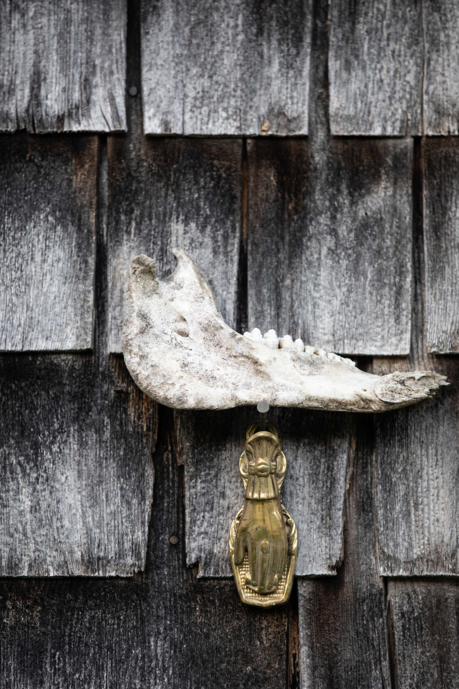 A bleached jawbone greets visitors at the front door. In the spirit of using what they grow, animal bones and hides throughout the interiors—and exteriors—are remnants from the couple