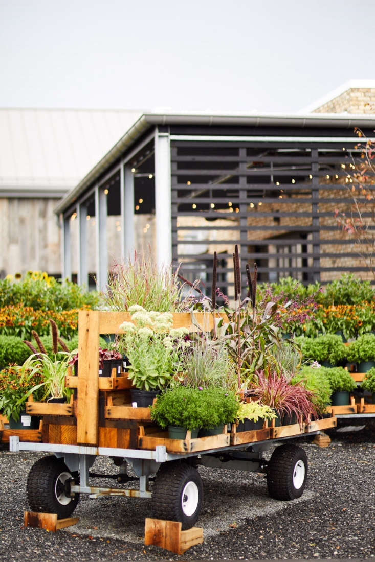 Terrain sells plants, both for indoor and outdoor gardens, but that&#8\2\17;s where its similarity to a typical garden shop or nursery center ends. Terrain&#8\2\17;s seasonal selection is collected, arranged, and often paired with complementary planters.