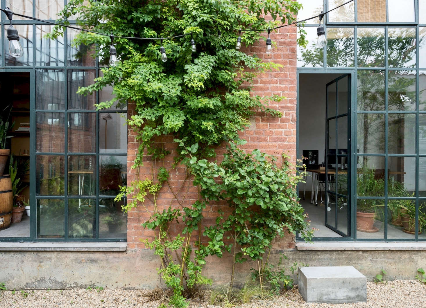 Garden of Eden The Most Beautiful Spot in Brooklyn Happens to Be in an