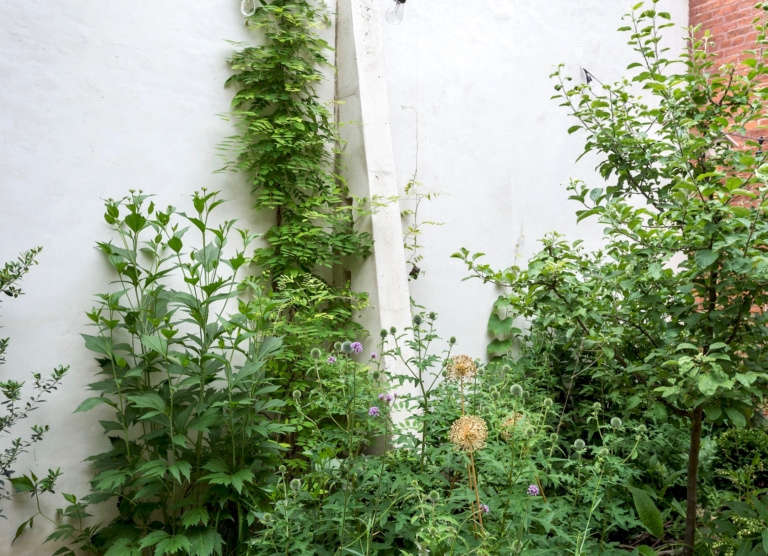 Garden of Eden The Most Beautiful Spot in Brooklyn Happens to Be in an