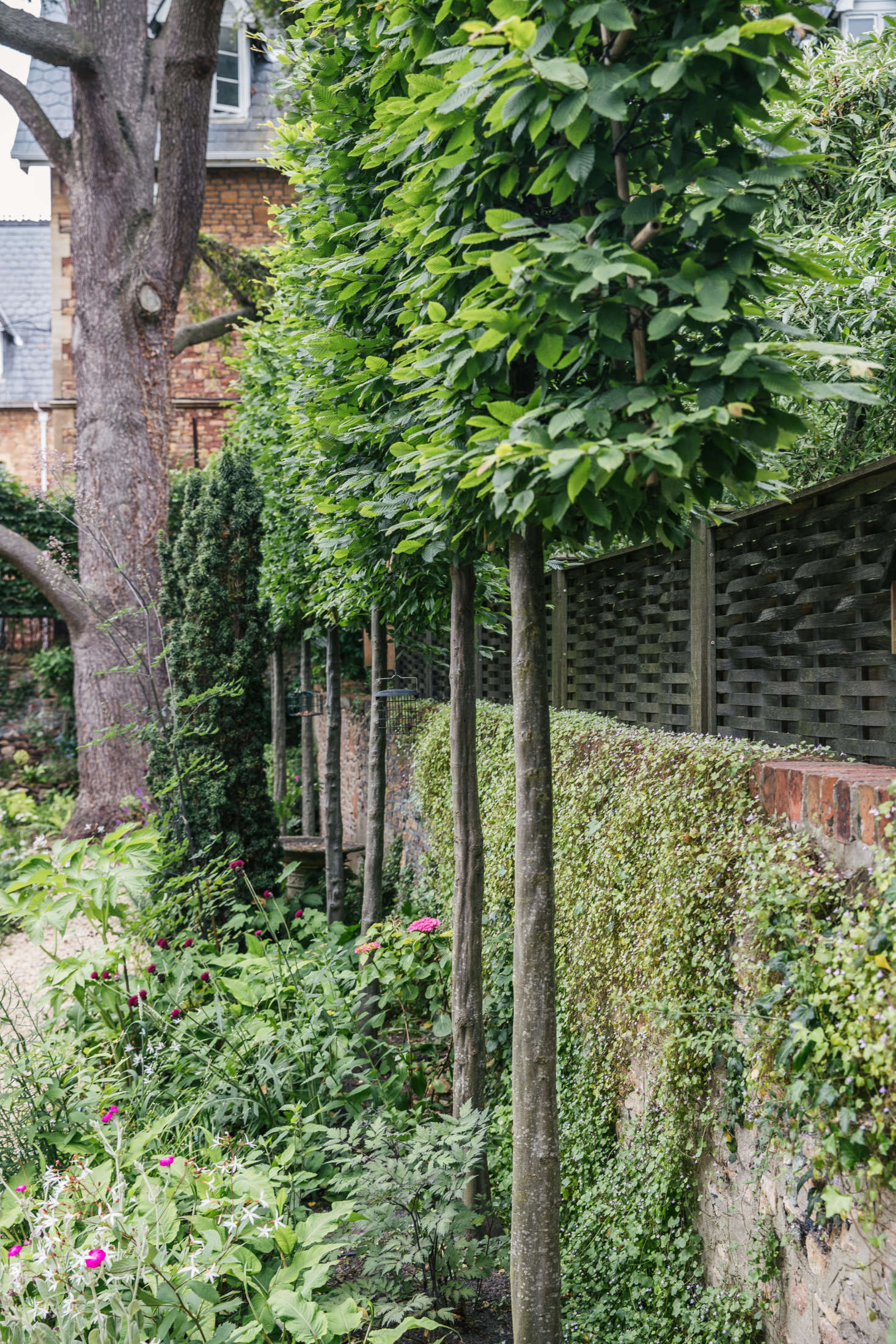A row of pleached hornbeam trees adds structure to the perimeter.