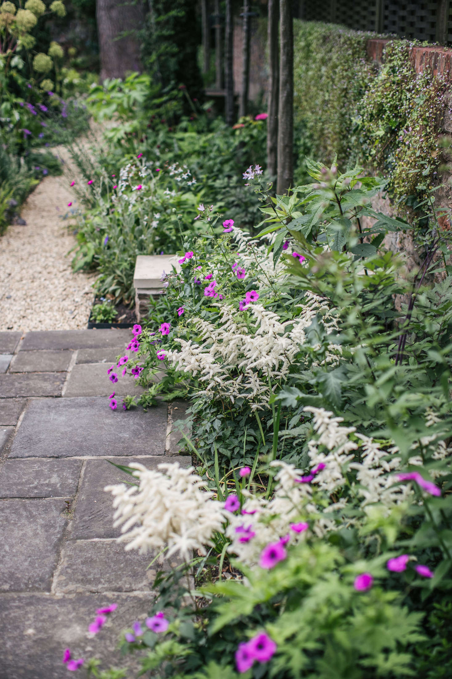 Astilbe softens the edges of the concrete pavers. The stones were existing and not the designers