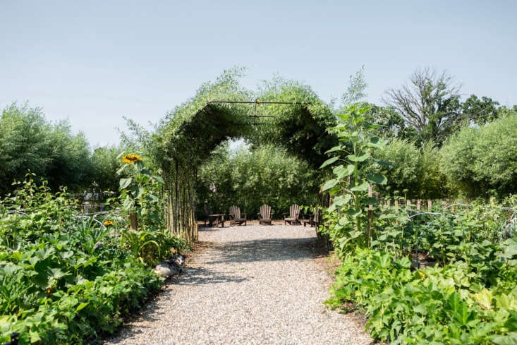  Hidden behind a hedge of willow and sunflower is what the Cornman crew calls “our secret garden.”