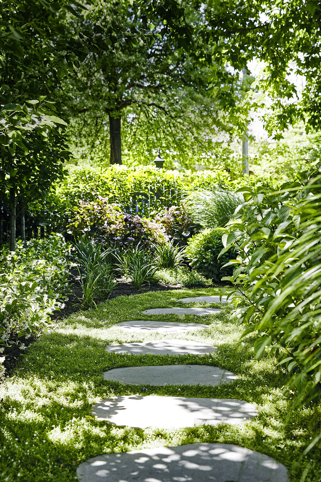 Mixed in with old-fashioned flowering plants, spiky grasses including Lomandra and Miscanthus add a modern element.