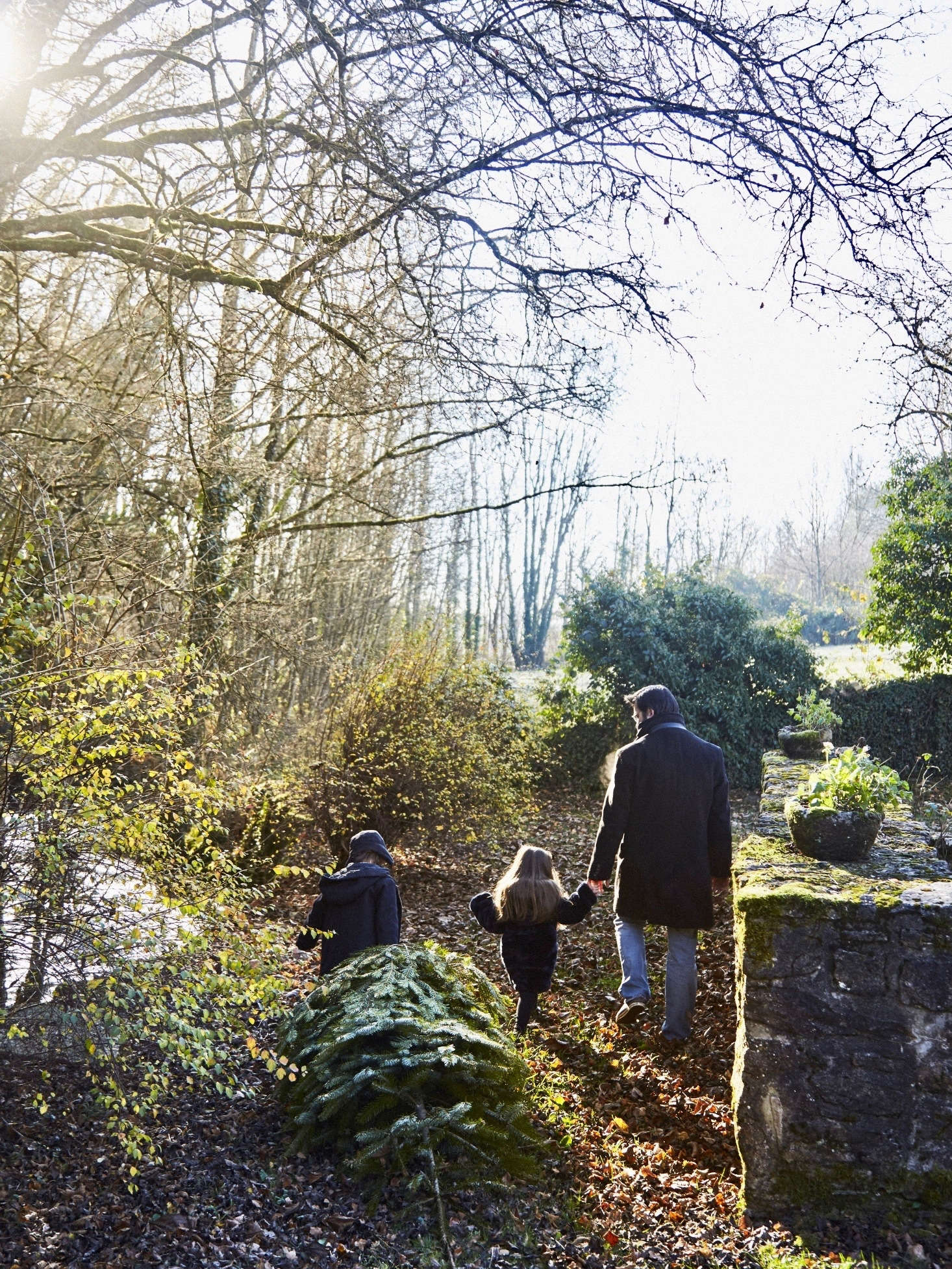 Photograph by Anson Smart, courtesy of The Cook’s Atelier, from Christmas in Burgundy: At Home with the Expat Family Behind the Cook’s Atelier.