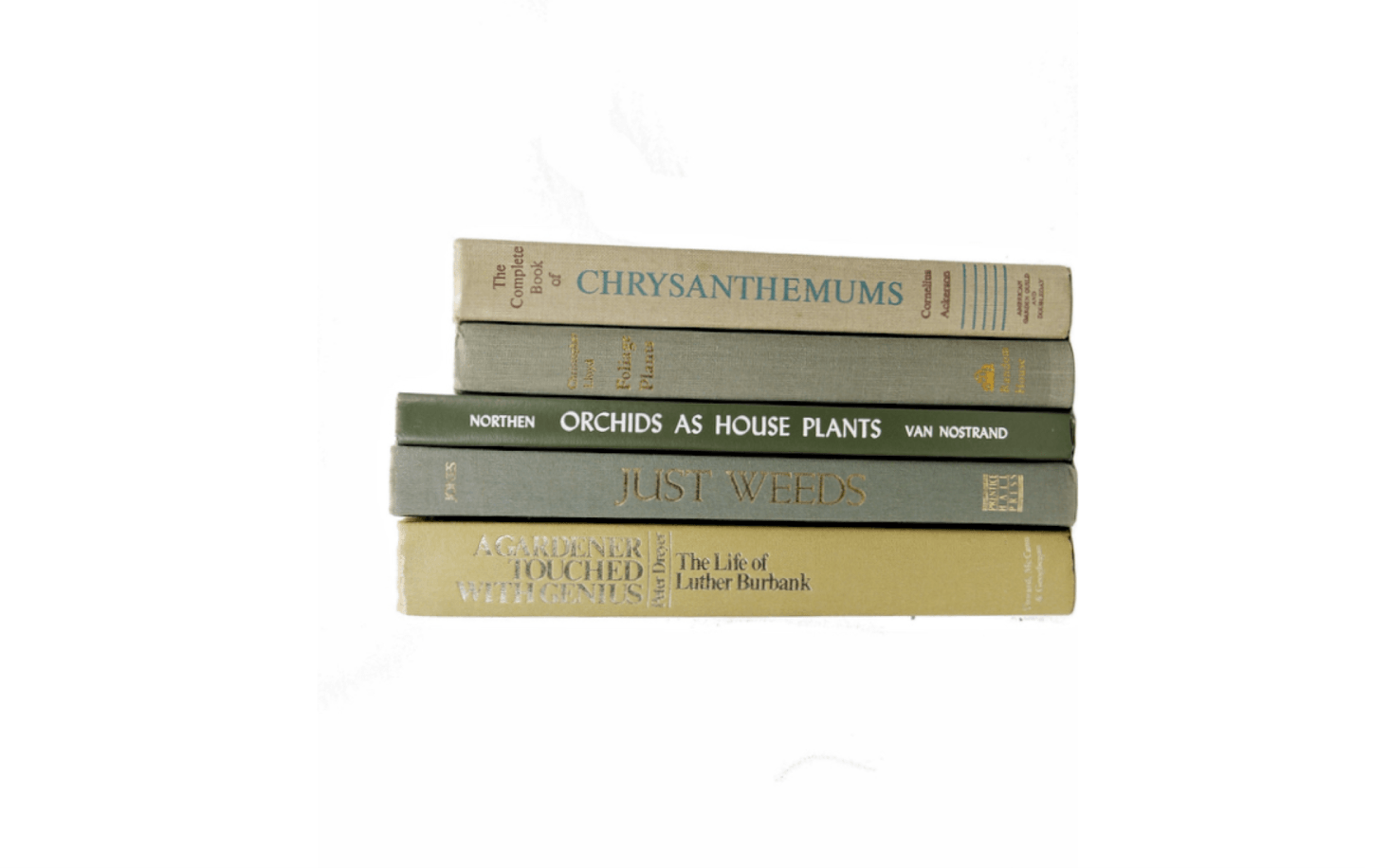 A collection of five vintage Plant & Garden Books bundled together by the seller because the colors of the covers complement each other includes volumes devoted to chrysanthemums, foliage plants, and orchids as houseplants. It is $36.34 from Book Styles via Etsy.